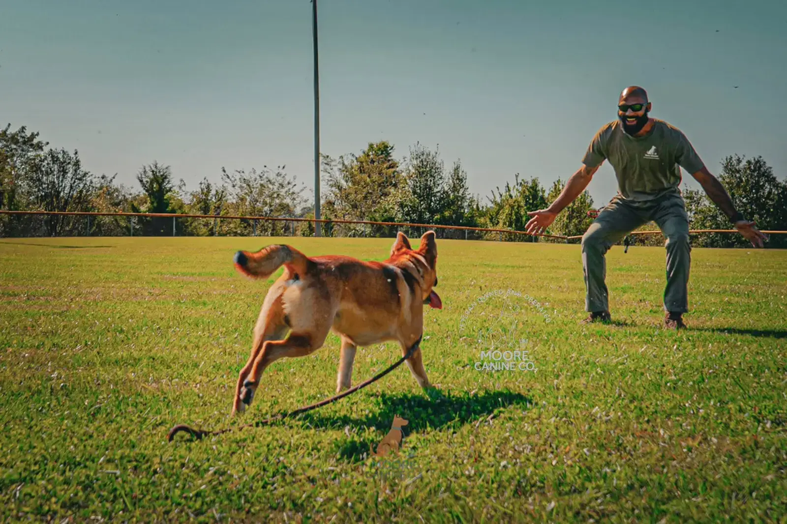 A happy dog running through a field toward its owner