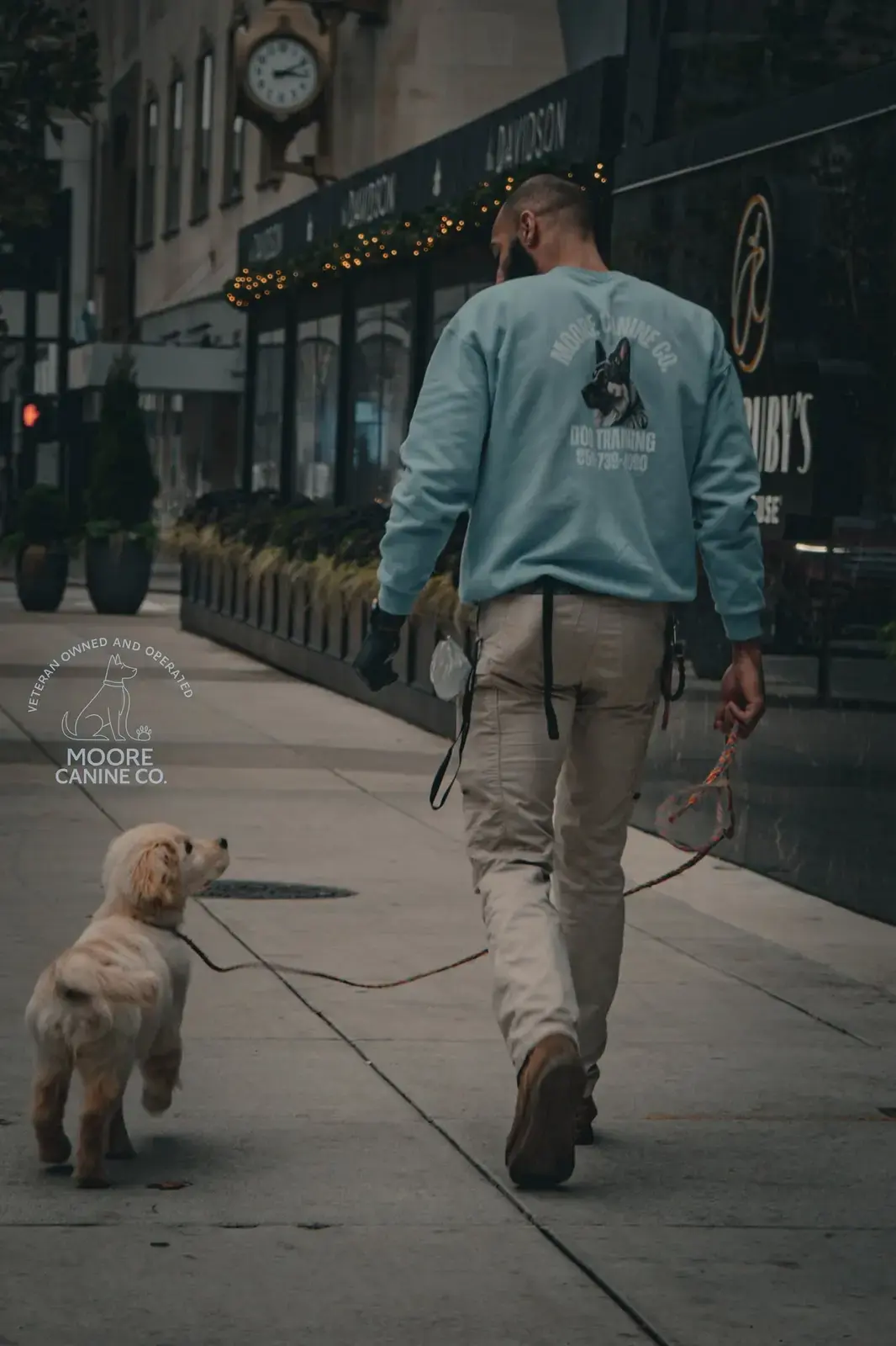 An owner walking a puppy on a loose leash